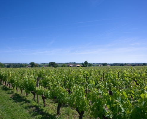 WDG_3845-Bordeaux-Topimages